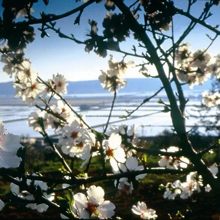 Neptun - Terme & Wellness Lifeclass ポルトローシュ