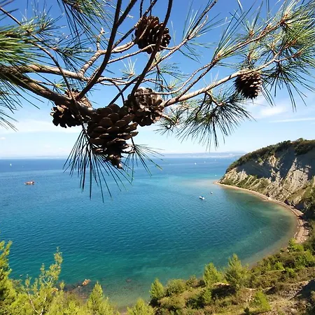 ホテル Neptun - Terme & Wellness Lifeclass 4*