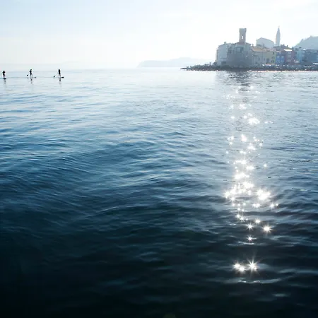 Neptun - Terme & Wellness Lifeclass ホテル ポルトローシュ