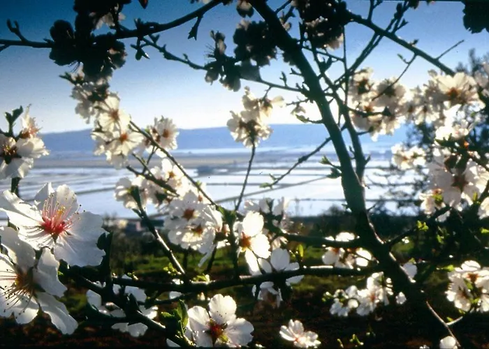 Neptun - Terme&wellness Lifeclass Portorož